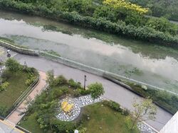 Blk 495A Tampines Street 43 (Tampines), HDB Executive #457928381